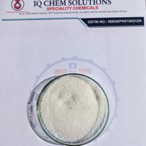 Vehicle Washing System