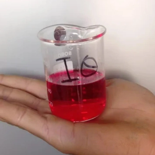 Vehicle Washing System